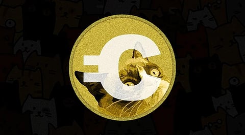 Catcoin, Bitgert, and Metaworldpad– Cryptos That Increased More Than 150% This week