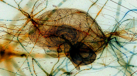 Exploring Neural Architecture Search with AutoML and Deep Learning