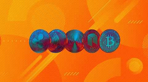 Litecoin, Cardano, Solana, Matic, Avalanche – What Do You Need to Know About These Cryptocurrencies