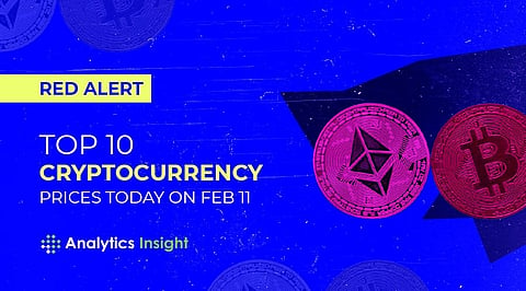 Red Alert: Top 10 Cryptocurrency Prices Today on Feb 11