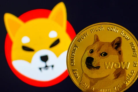 Bitgert Beats Shiba Inu & Dogecoin In Utility By Launching Its Own Blockchain