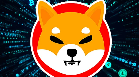Shiba Inu, Ripple (XRP), Polkadot, EGC – The Top Cryptos to Invest in for 2022