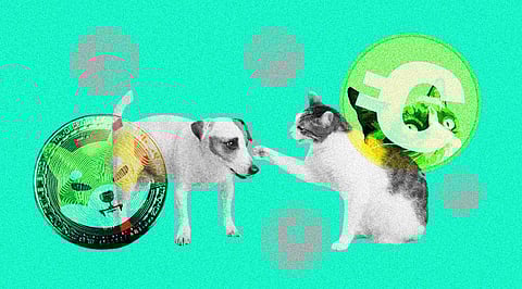 Shiba Inu vs Catcoin: The Bark and Meow Battle Continues