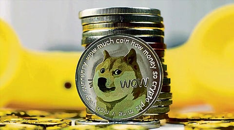 If You Missed Out on Shiba Inu there’s Still Hope for 2022