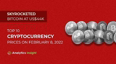 Skyrocketed Bitcoin at US$44K: Top 10 Cryptocurrency Prices on February 8, 2022
