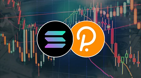 Solana and Polkadot Plummet But Excitement as EverGrow to Launch World-First Crypto Social Media