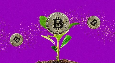 Top Environment-Friendly Cryptocurrencies For You to Know