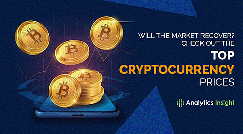 Will the Market Recover? Check Out the Top Cryptocurrency Prices