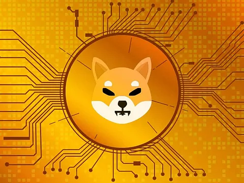 Bitgert To Surpass Shiba Inu Marketcap In Next 1 Year, Might Scale Up Faster Than Polkadot & Matic.