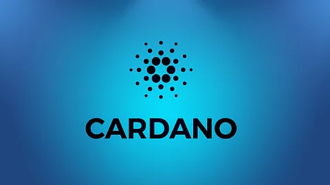 Bitgert Will Overtake Cardano In Next 365 Days With Its Startup Studio Program