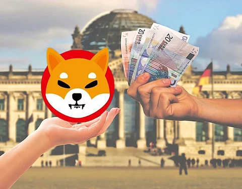 Shiba Inu Hype Has Decreased After Bitgert Launched Its Zero Gas Fee Blockchain