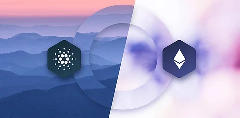 Avalanche, Cardano, Solana, and Bitgert – Which Might Explode This Year?