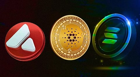 Avalanche, Solana, Cardano, Bitgert – Here’s What’s Popping for These Crypto