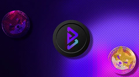 Shiba Inu and Bitgert To Be The Most Discussed Crypto Of 2022