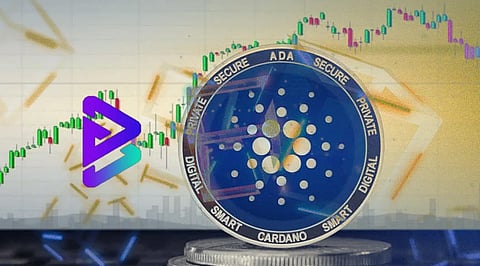 Don’t Be Left Behind By Bitgert, If You Missed Cardano in 2018 – Reasons