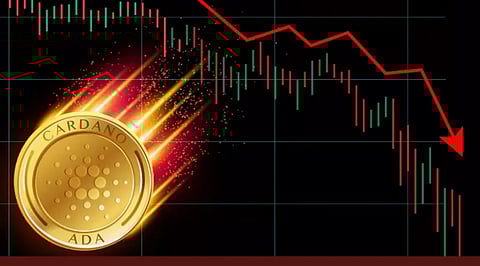 Bitgert to Reach Cardano Marketcap – Says Expert Analysis