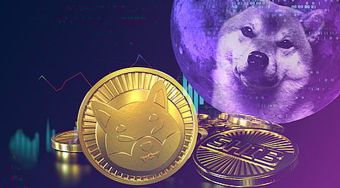 Shiba Inu Volume Decreased, While Bitgert Ruling Over Crypto World
