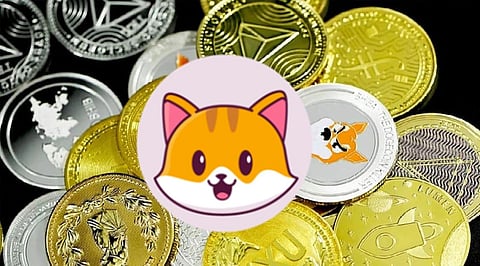 How Catecoin and Catpay Project is Competing Against Axie Infinity and SLP token?
