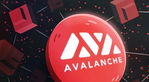 Crypto Investors Get Bullish on Avalanche and EverGrow Coin