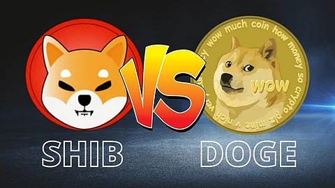 Could You Hit the Jackpot with Shiba Inu (SHIB), Dogecoin (DOGE), and Seesaw Protocol (SSW)?