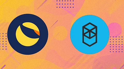 Fantom & Terra Price Plummet, Here’s Why Bitgert Taking Over