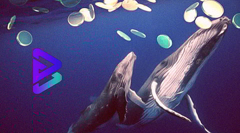 Matic Whale Transactions Increased, Which Helps Bitgert In Price Growth