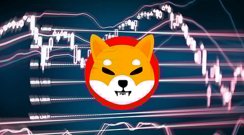 Shiba Inu Price Drop 8%, Bitgert Might Reach $0.0001 This Year