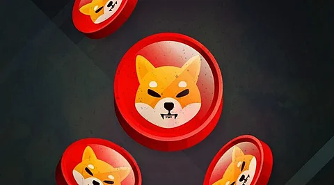 Shiba Inu Price Drop as Community Joins Bitgert