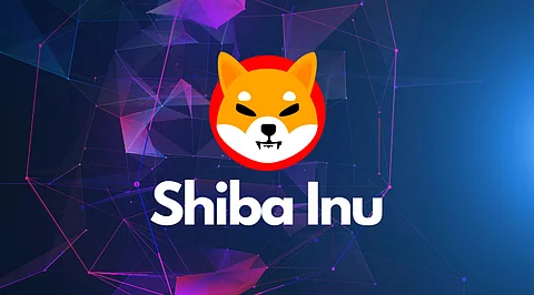 Shiba Inu Price Prediction 2022