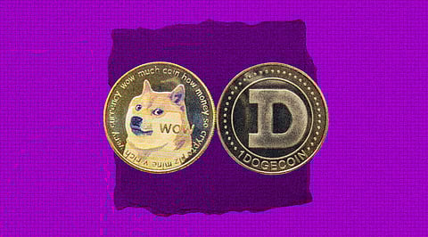 Shiba Inu and Dogecoin Whales Joining Bitgert after its Exponential Growth