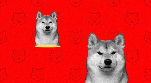 Shiba Inu is Primed to Reach US$0.01! But When and How?