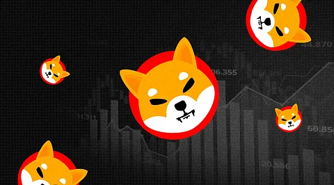 Shiba Inu is All Set to Reach US$0.000030 in the Coming Days