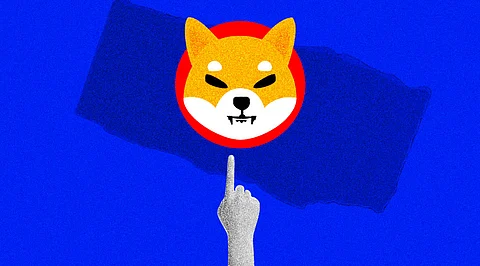 Shiba Inu is the Only Hope Now! But Investors have Forgotten it