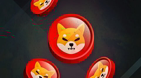 Shiba Inu Price Might Tumble, Good Time to Buy Bitgert?