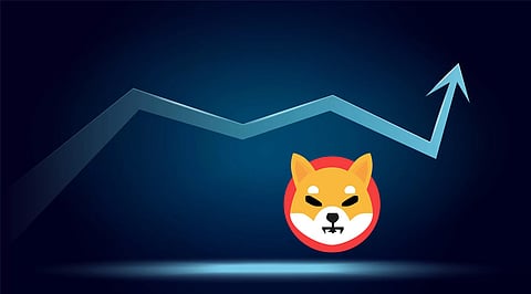 Shiba Inu Coin Hype Overtaken By Bitgert After Its Blockchain Launch