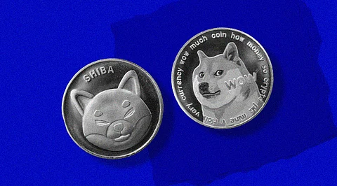 Where is Shiba Inu and Dogecoin Headed in 2025? Will They Exist?