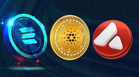 Solana, Cardano, Bitgert and Avalanche – Which is the Trending Crypto Now?