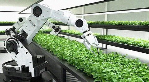 AI-Powered Farming is the Future of Food Production