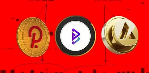 If you Missed Polkadot and Avalanche, Bitgert is the Best Crypto to Invest