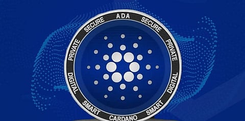 Cardano Price Might Increase 5x, Bitgert Might Do Another 100x
