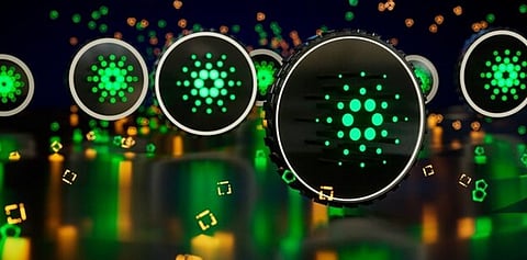 Are You A Cardano Lover? You Need To Check Out Bitgert