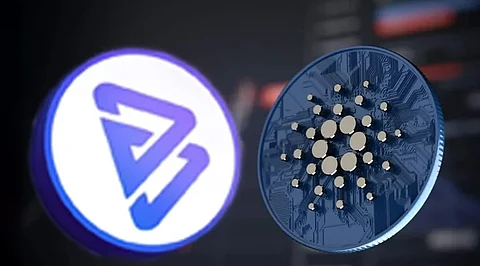 Cardano and Bitgert are The Best Cryptocurrency of 2022