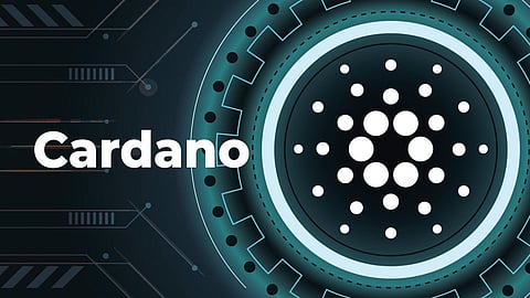Cardano and Bitgert Shall Hit ATH In Next 90 Days