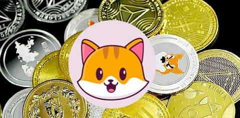Catecoin launched a Crypto wallet like Trust wallet, supporting five popular chains.