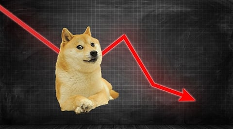Dogecoin Falls to 14th Place as EverGrow Coin sees 8% Growth