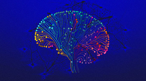 Everything You Need to Know about Very Deep Neural Network