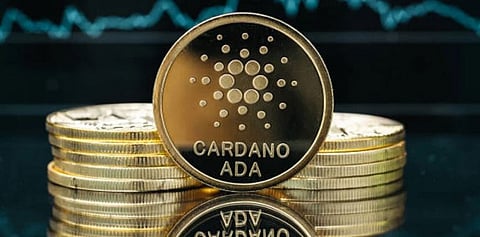 Cardano Remains Stable as Bitgert Continues to Grow