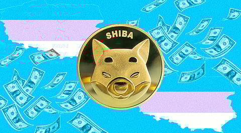 Missed chance to become Shiba Inu millionaire? This could be the Next SHIB