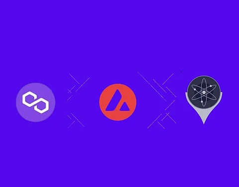 Polygon (MATIC), Avalanche (AVAX), and Bitgert (BRISE) – These 3 Cryptocurrencies Price To Explode
