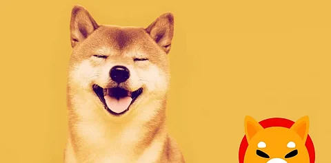 Here’s What’s New For Shiba Inu Today